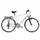 KS Cycling Trekkingrad Herren Vegas