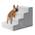 Ksiia Hundetreppe