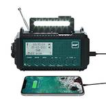 Mesqool 1009ProDAB