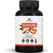 Nutridise Kurkuma Kapseln Vergleich
