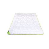 bananenpflanze senker Musa Basjoo Winterharte Banane 100-140 cm Bananenpflanze winterfest schnell  wachsend Gartenpalme main image 1