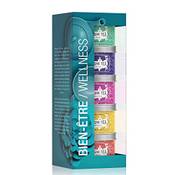 Kusmi Tea Geschenkset Wellness Tee