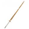 Kwon Shinai