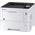 Kyocera Ecosys P3155dn