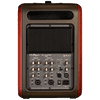 L.R. Baggs Synapse Personal PA
