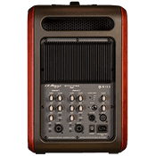 L.R. Baggs Synapse Personal PA
