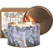 La Jolíe Muse Duftkerze Schwarzer Kaffee Vergleich