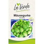 La Verde Mein Garten und Ich Mäusegurke Melothria