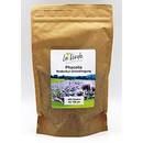‎Floveg GmbH  Phacelia Bodenkur-Gründungung