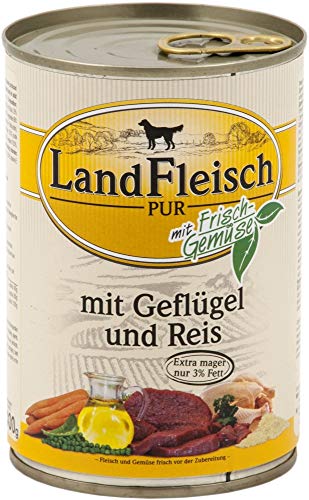 amazon halsband Hundehalsband Kunterbunt Pink/Türkis main image 1