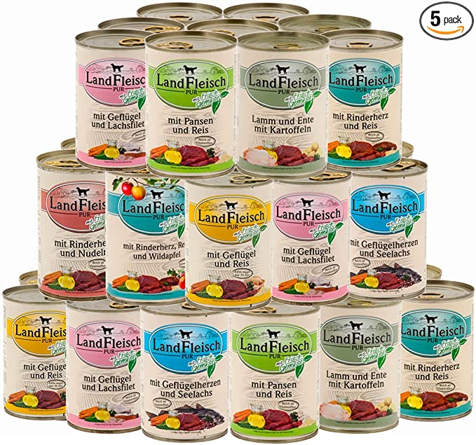 getreidefreies trocken hundefutter Wildfang Adult Huhn & Kräuter – getreidefreies Premiumfutter – Wildfang.pet