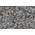 Landixx Muschelgrit 5 kg