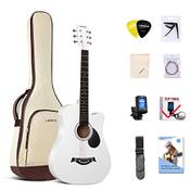 Lankro Akustikgitarren Vergleich