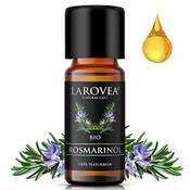 Larovea Bio Rosmarinöl Vergleich