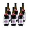‎Laura Romagnelli Lambrusco Grasparossa