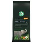 Lebensbaum Kaapi Kerala