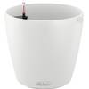 Lechuza Classico Color 21