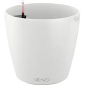 Lechuza Classico Color 21