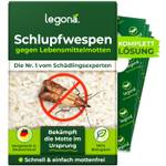 Schlupfwespen gegen Motten
