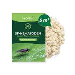 Nematoden