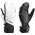 Leki Elements Platinium S Mitten