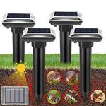 Lemeng Maulwurfschreck