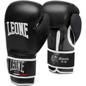 Leone 1947 Flash