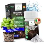 Lerava Mykorrhiza Pulver