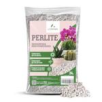 Perlite Pflanzen