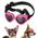 Lewondr Sonnenbrille für Kleine Hunde