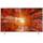 Lg Electronics 43UQ76909LE