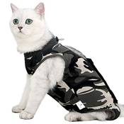 Lianzimau Katzenbody