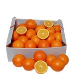 Lieferfrucht Saftorangen 6 kg