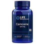Life Extension L-Carnosin Vergleich