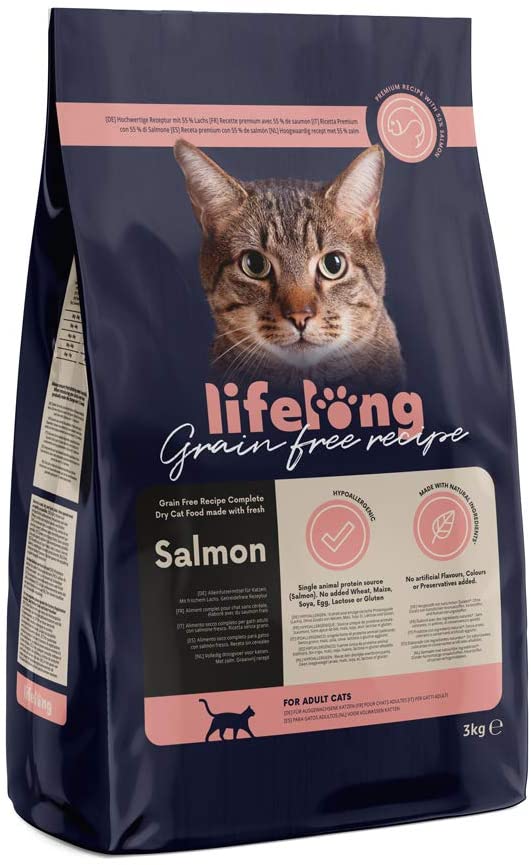 Top 10 Katzen-Trockenfutter: Test & Vergleich