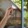 Lifetree Fensterfolie