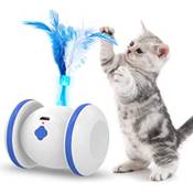 LiieyPet Elektrisch Katzenspielzeug Vergleich