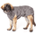 Lill's 6Mq7582g4c3Y3516