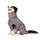 Lill's Hundebademantel