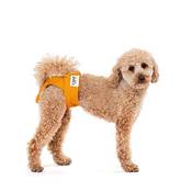 Lill's Läufigkeitshose Hund Vergleich