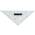 Linex Geodreieck