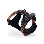Lionto Hundegeschirr