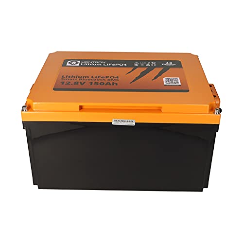 Liontron 55Ah 12V LiFePO4 Lithium Batterie Wohnmobil BMS mit App