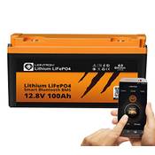 Liontron LISMART12100LX