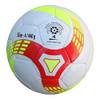 Lisaro Futsalball