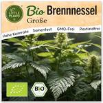 Little Plants BIO Brennnessel Samen