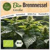 Little Plants BIO Brennnessel Samen