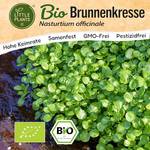 Little Plants Bio Brunnenkresse Samen