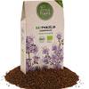 Little Plants Bio-Phacelia-Bienenfreund