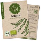 Little Plants Bio Stangenbohnen